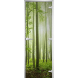 Межкомнатная дверь FOREST-15