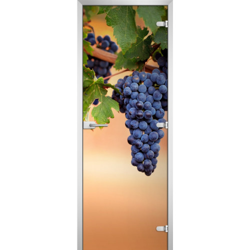 Межкомнатная дверь FRUITE-20
