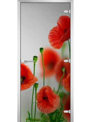 Межкомнатная дверь FLOWERS-01