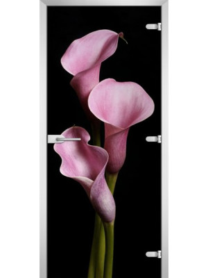 Межкомнатная дверь FLOWERS-02