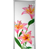 Межкомнатная дверь FLOWERS-03