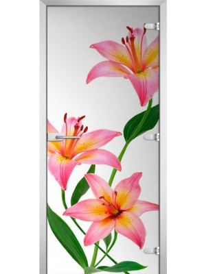 Межкомнатная дверь FLOWERS-03