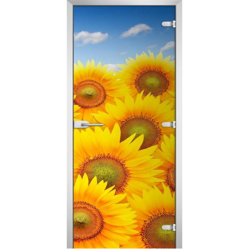 Межкомнатная дверь FLOWERS-07