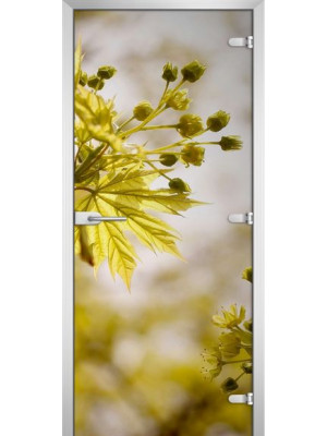 Межкомнатная дверь FLOWERS-09