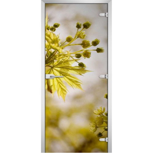 Межкомнатная дверь FLOWERS-09