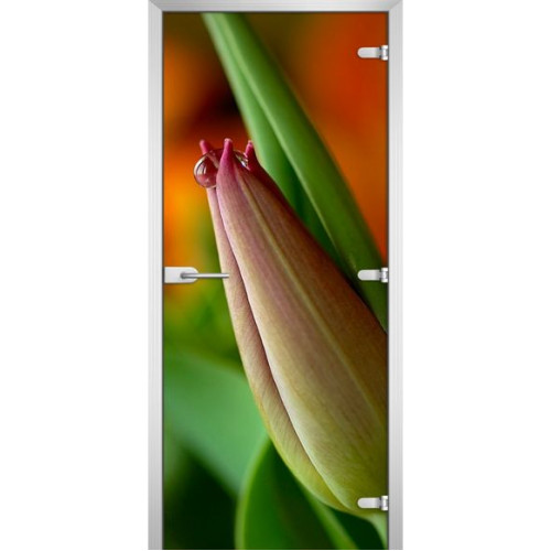 Межкомнатная дверь FLOWERS-10