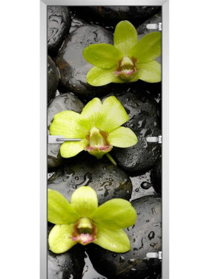 Межкомнатная дверь FLOWERS-11
