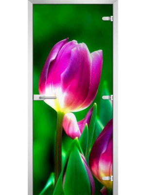 Межкомнатная дверь FLOWERS-15