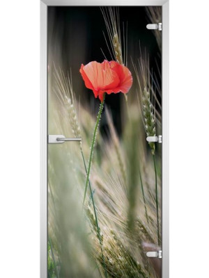 Межкомнатная дверь FLOWERS-18